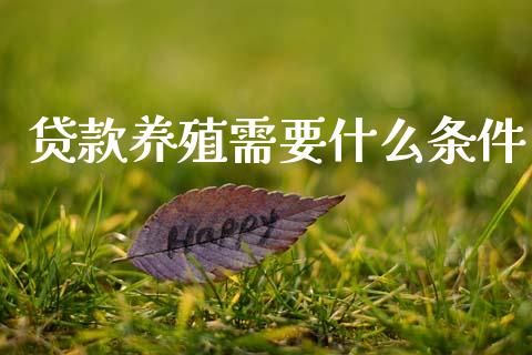 贷款养殖需要什么条件_https://wap.yjjixie.cn_港股行情_第1张