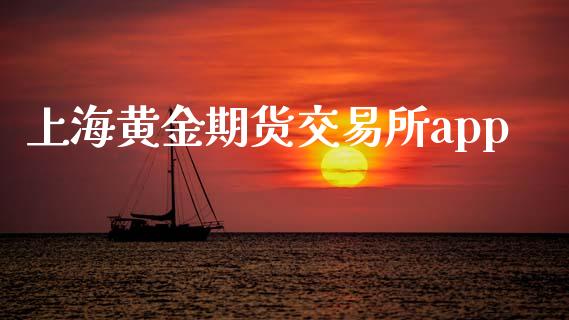 上海黄金期货交易所app_https://wap.yjjixie.cn_商业资讯_第1张