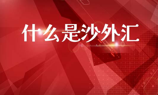 什么是沙外汇_https://wap.yjjixie.cn_证券市场_第1张