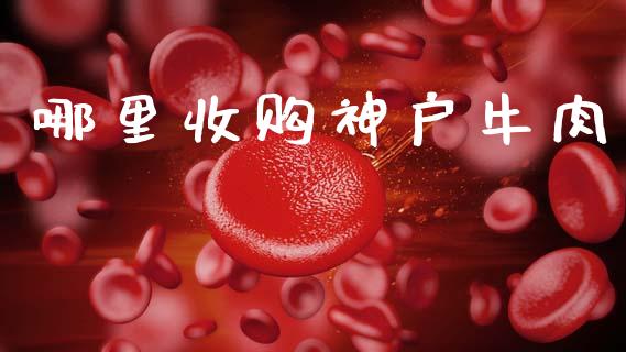哪里收购神户牛肉_https://wap.yjjixie.cn_港股行情_第1张