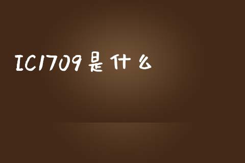IC1709是什么_https://wap.yjjixie.cn_保险理财_第1张