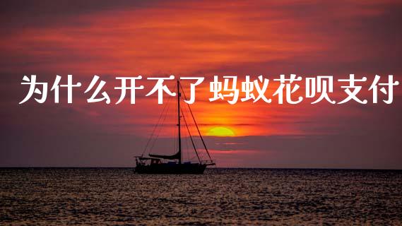 为什么开不了蚂蚁花呗支付_https://wap.yjjixie.cn_保险理财_第1张