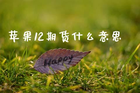 苹果12期货什么意思_https://wap.yjjixie.cn_保险理财_第1张