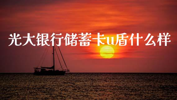 光大银行储蓄卡u盾什么样_https://wap.yjjixie.cn_证券市场_第1张