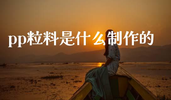 pp粒料是什么制作的_https://wap.yjjixie.cn_保险理财_第1张