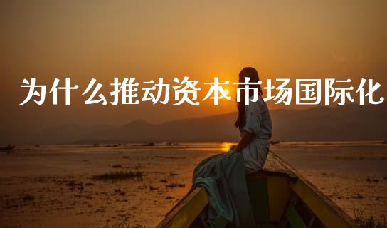 为什么推动资本市场国际化_https://wap.yjjixie.cn_保险理财_第1张