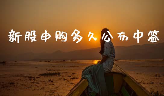 新股申购多久公布中签_https://wap.yjjixie.cn_证券市场_第1张