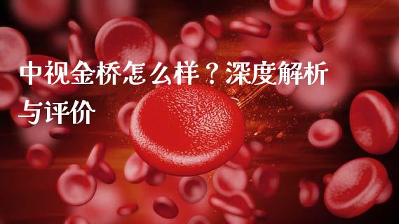 中视金桥怎么样？深度解析与评价_https://wap.yjjixie.cn_商业资讯_第1张