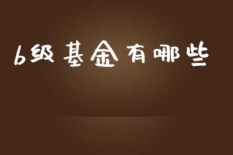 b级基金有哪些_https://wap.yjjixie.cn_商业资讯_第1张