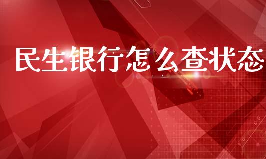民生银行怎么查状态_https://wap.yjjixie.cn_保险理财_第1张