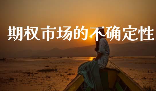 期权市场的不确定性_https://wap.yjjixie.cn_证券市场_第1张