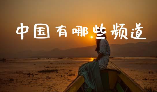 中国有哪些频道_https://wap.yjjixie.cn_证券市场_第1张
