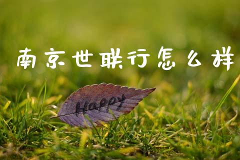 南京世联行怎么样_https://wap.yjjixie.cn_证券市场_第1张