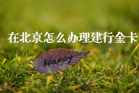 在北京怎么办理建行金卡_https://wap.yjjixie.cn_商业资讯_第1张