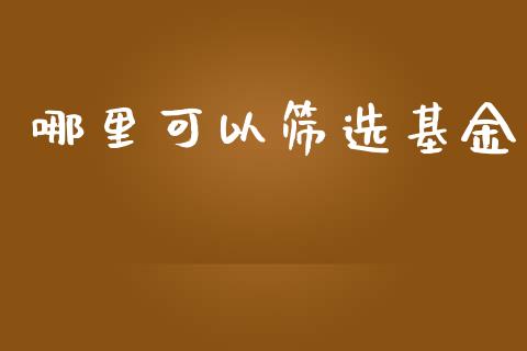 哪里可以筛选基金_https://wap.yjjixie.cn_港股行情_第1张