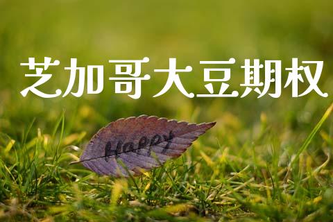 芝加哥大豆期权_https://wap.yjjixie.cn_港股行情_第1张