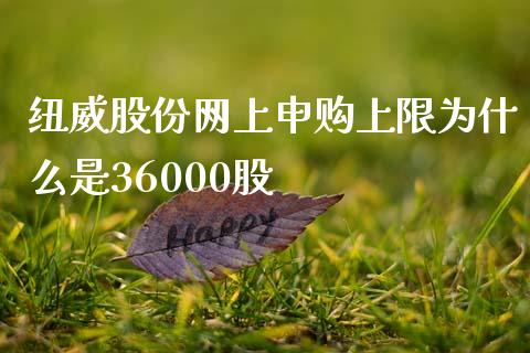 纽威股份网上申购上限为什么是36000股_https://wap.yjjixie.cn_证券市场_第1张