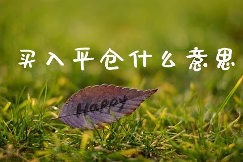 买入平仓什么意思_https://wap.yjjixie.cn_证券市场_第1张