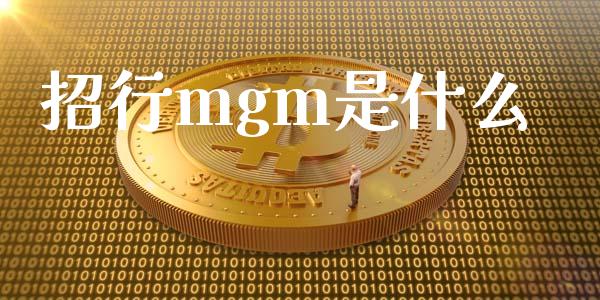 招行mgm是什么_https://wap.yjjixie.cn_证券市场_第1张