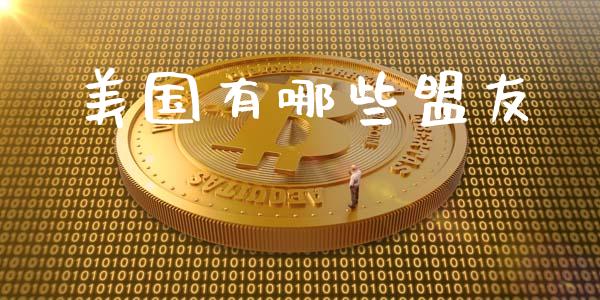 美国有哪些盟友_https://wap.yjjixie.cn_证券市场_第1张