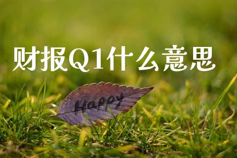 财报Q1什么意思_https://wap.yjjixie.cn_商业资讯_第1张