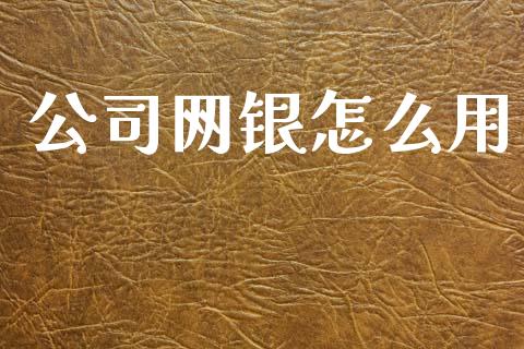 公司网银怎么用_https://wap.yjjixie.cn_证券市场_第1张