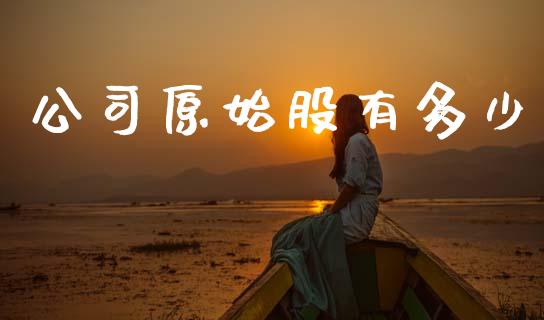 公司原始股有多少_https://wap.yjjixie.cn_商业资讯_第1张