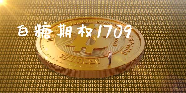 白糖期权1709_https://wap.yjjixie.cn_港股行情_第1张