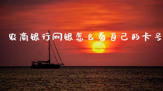 农商银行网银怎么看自己的卡号_https://wap.yjjixie.cn_证券市场_第1张