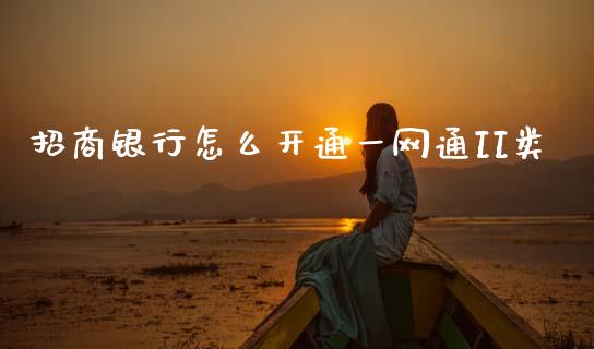 招商银行怎么开通一网通II类_https://wap.yjjixie.cn_港股行情_第1张