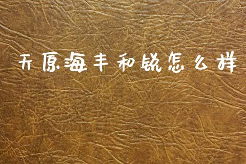 天原海丰和锐怎么样_https://wap.yjjixie.cn_港股行情_第1张