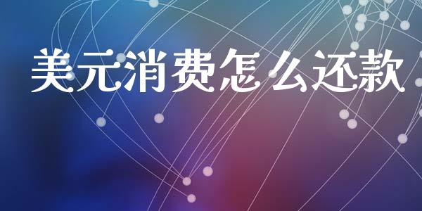 美元消费怎么还款_https://wap.yjjixie.cn_保险理财_第1张