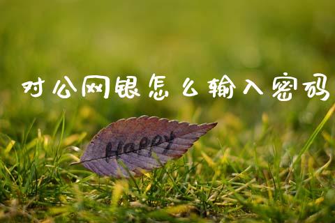 对公网银怎么输入密码_https://wap.yjjixie.cn_商业资讯_第1张