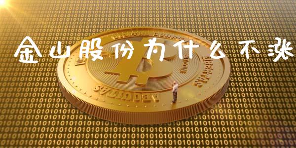 金山股份为什么不涨_https://wap.yjjixie.cn_证券市场_第1张