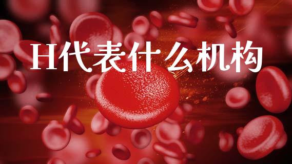 H代表什么机构_https://wap.yjjixie.cn_商业资讯_第1张