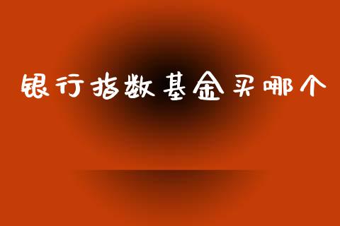 银行指数基金买哪个_https://wap.yjjixie.cn_港股行情_第1张