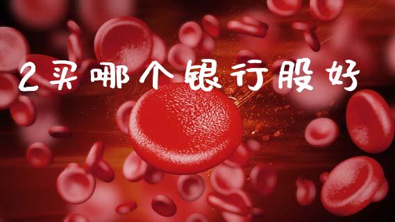 2买哪个银行股好_https://wap.yjjixie.cn_保险理财_第1张