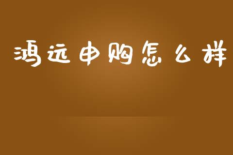 鸿远申购怎么样_https://wap.yjjixie.cn_证券市场_第1张