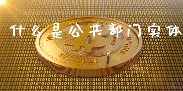 什么是公共部门实体_https://wap.yjjixie.cn_商业资讯_第1张