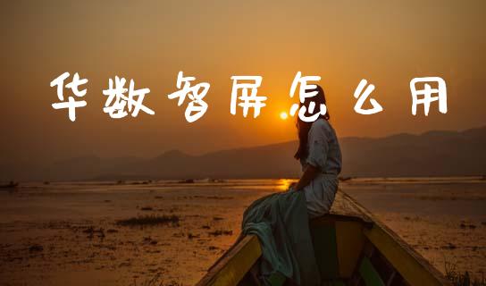 华数智屏怎么用_https://wap.yjjixie.cn_商业资讯_第1张