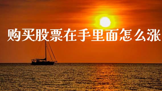购买股票在手里面怎么涨_https://wap.yjjixie.cn_港股行情_第1张