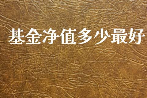 基金净值多少最好_https://wap.yjjixie.cn_港股行情_第1张