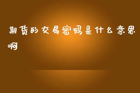 期货的交易密码是什么意思啊_https://wap.yjjixie.cn_港股行情_第1张