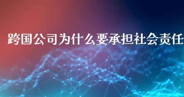 跨国公司为什么要承担社会责任_https://wap.yjjixie.cn_港股行情_第1张