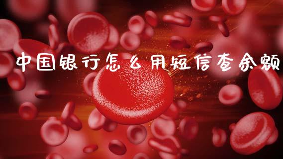 中国银行怎么用短信查余额_https://wap.yjjixie.cn_商业资讯_第1张