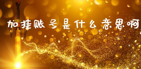 加挂账号是什么意思啊_https://wap.yjjixie.cn_商业资讯_第1张