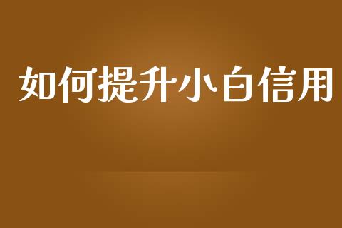 如何提升小白信用_https://wap.yjjixie.cn_证券市场_第1张