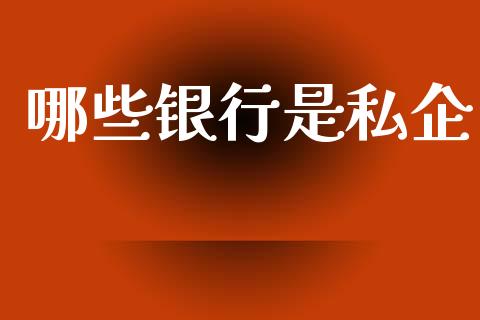 哪些银行是私企_https://wap.yjjixie.cn_保险理财_第1张