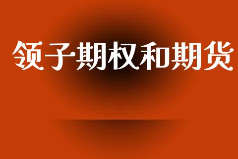 领子期权和期货_https://wap.yjjixie.cn_港股行情_第1张