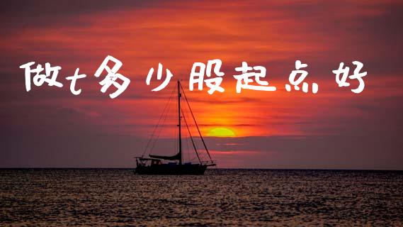 做t多少股起点好_https://wap.yjjixie.cn_证券市场_第1张